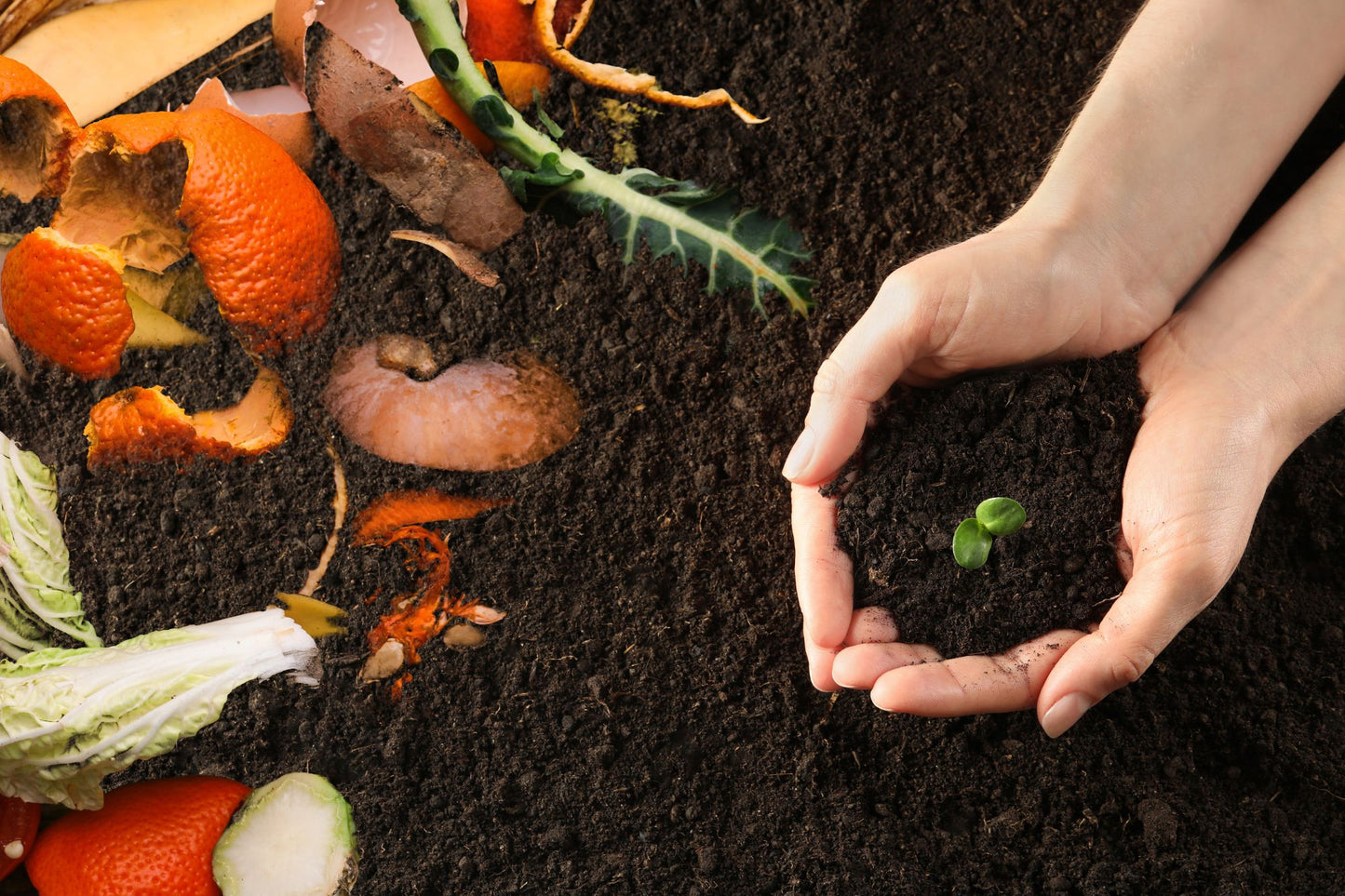 Your Guide to Composting