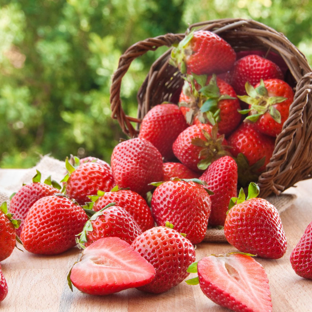 How To Grow Strawberries