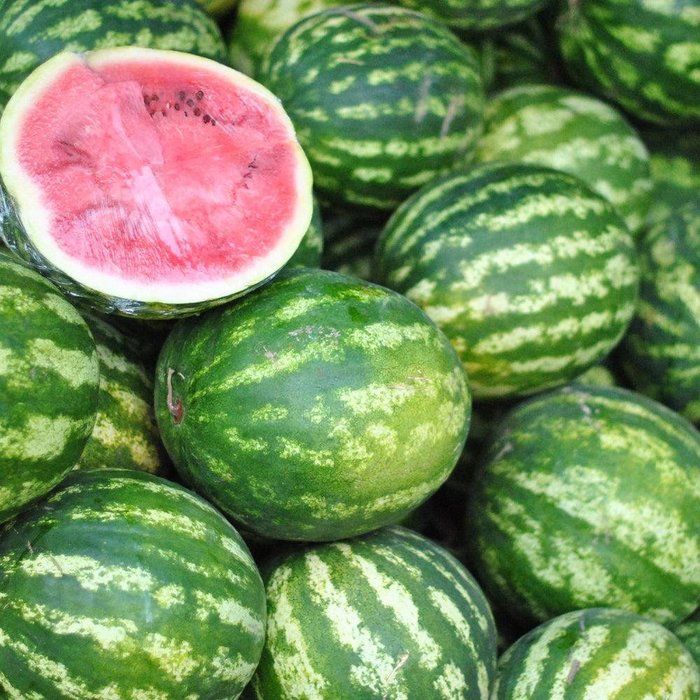 How To Grow Watermelon