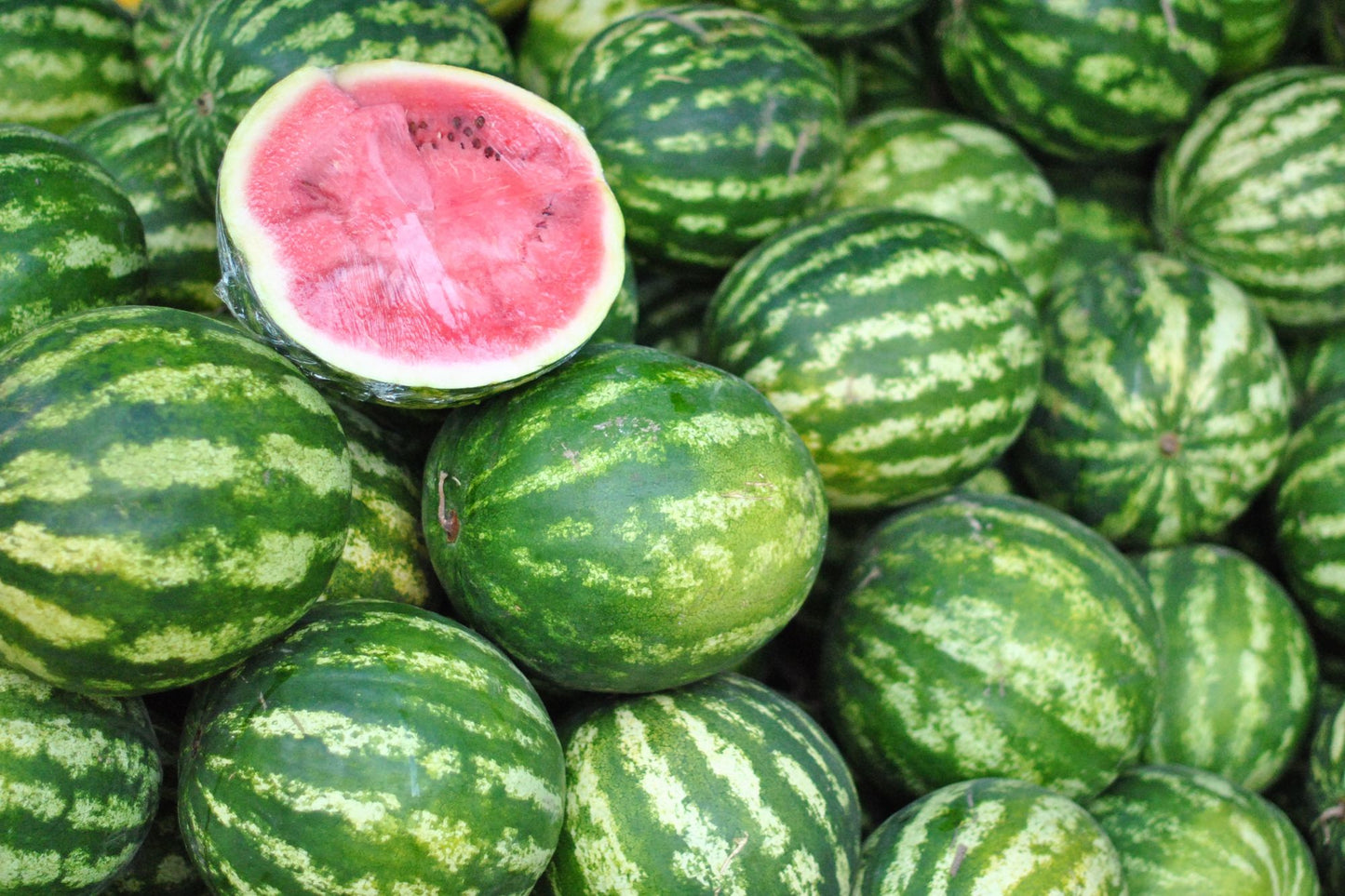 How To Grow Watermelon