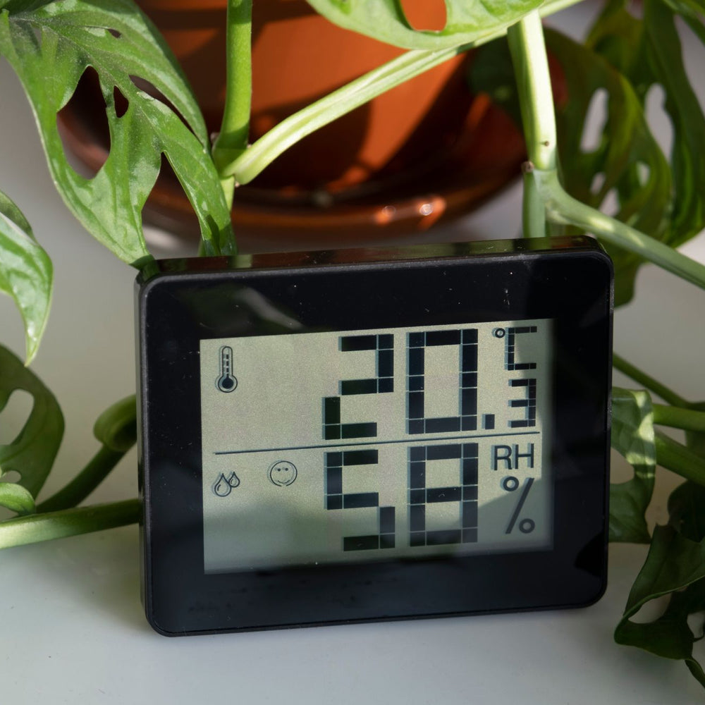 Humidity and Your Plants