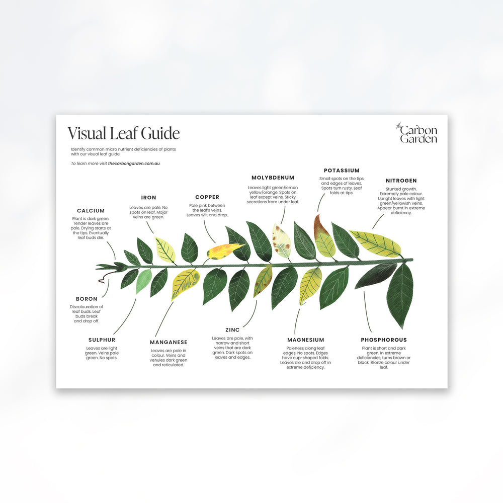 A3 Visual Leaf Guide (Nutrients)