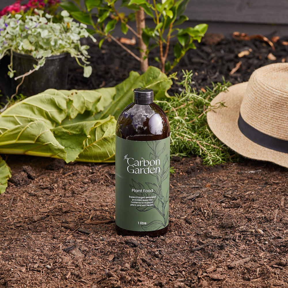 
                  
                    The Carbon Garden Kit
                  
                